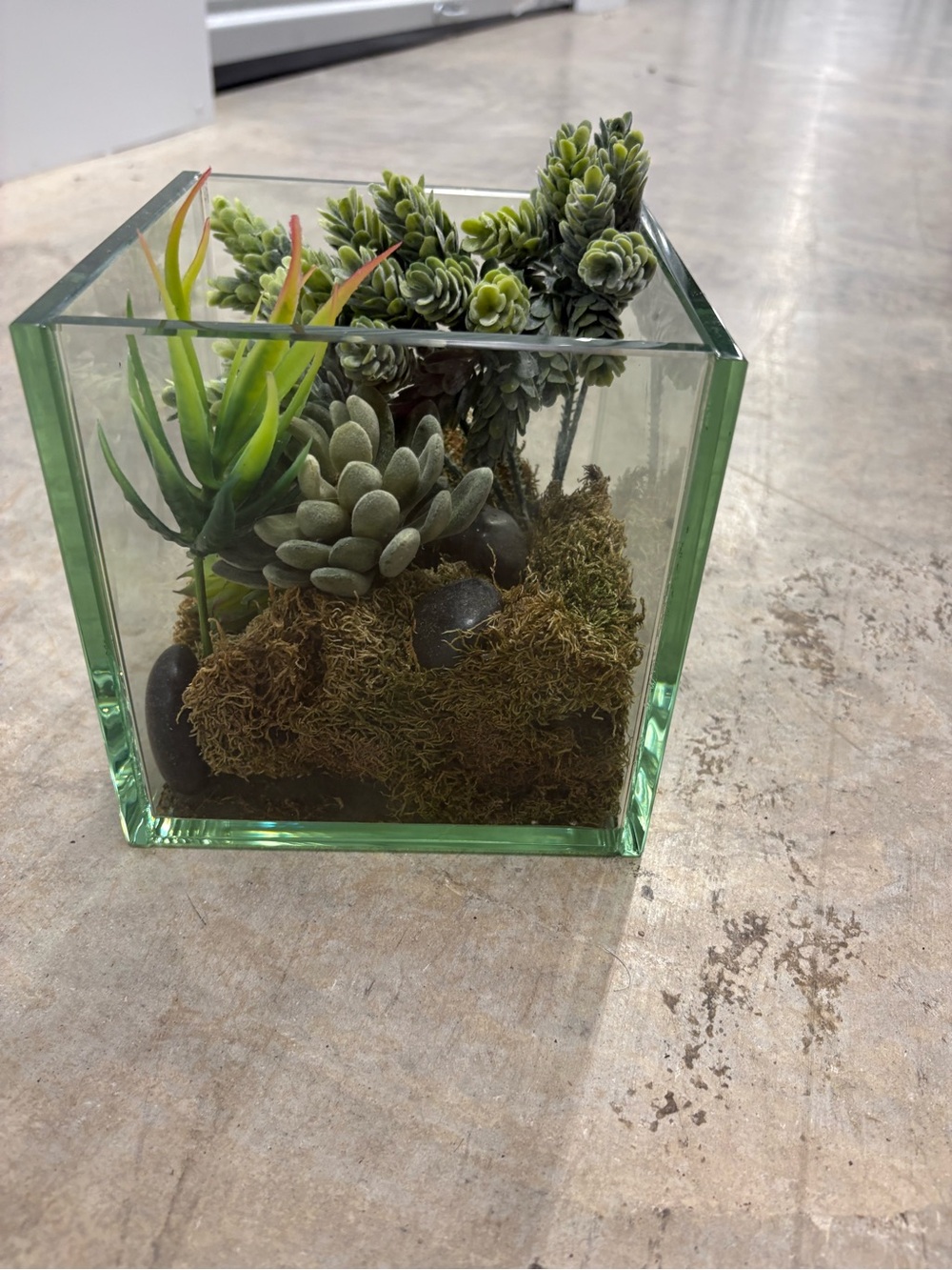 Faux Succulent Plant Terrarium Arrangement In Glass Square Vase